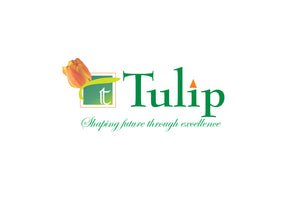 Tulip
